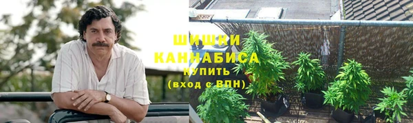spice Алексин