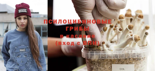 spice Алексин