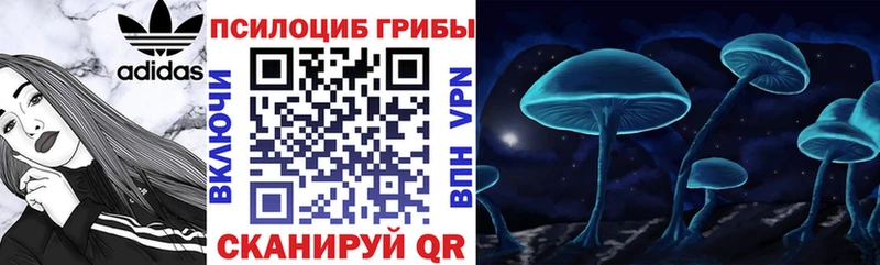 Галлюциногенные грибы GOLDEN TEACHER  Чёрмоз 